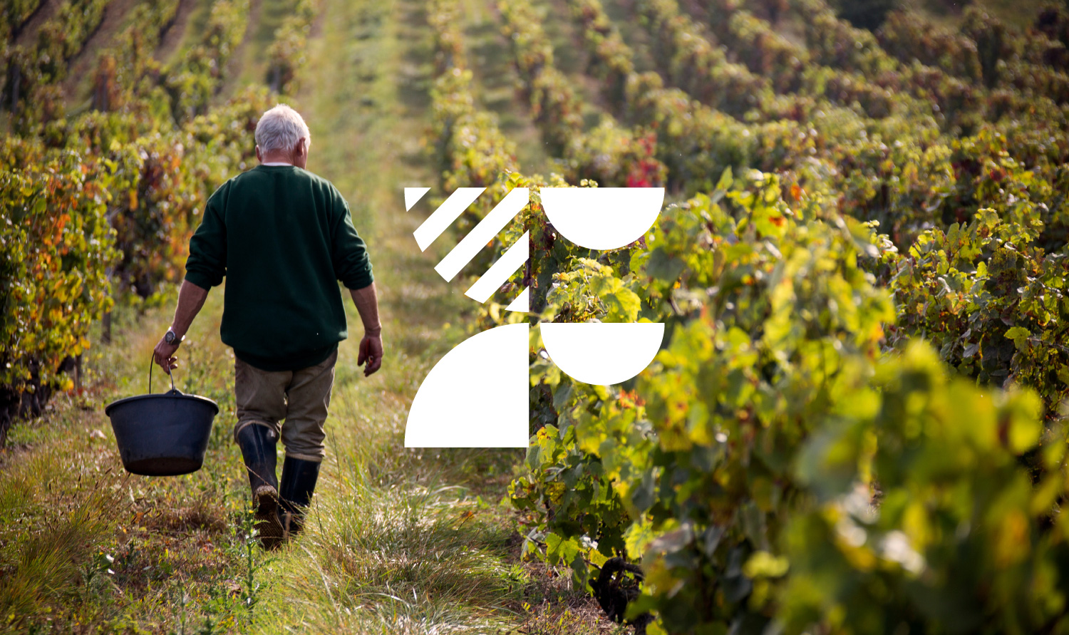 OQIO_Commune-de-Founex_Pictogramme